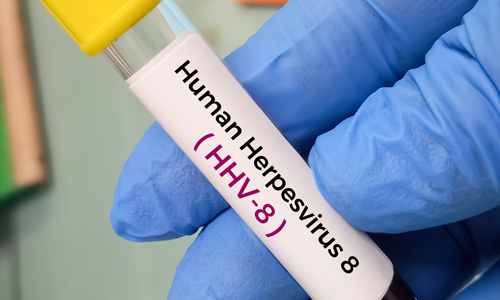 HHV-8