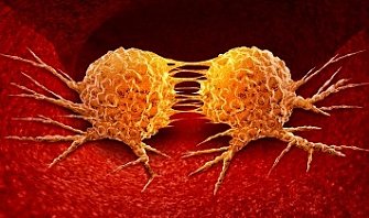 HER2/neu в онкологии