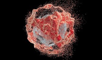 Синдром распада опухоли